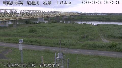 tonme2026060510_image