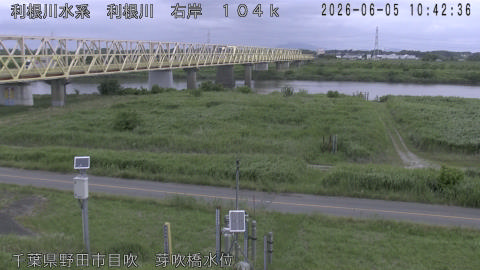 tonme2026060511_image