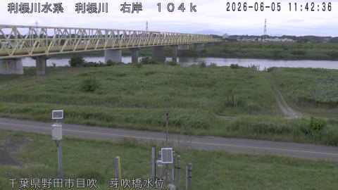 tonme2026060512_image