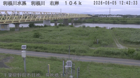 tonme2026060513_image