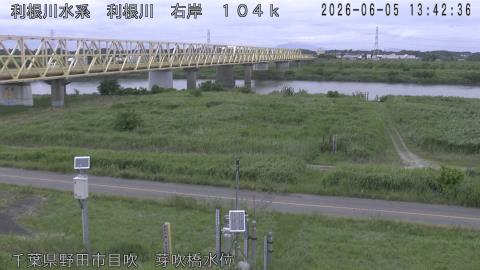 tonme2026060514_image