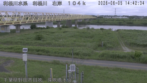 tonme2026060515_image