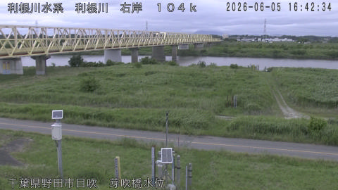 tonme2026060517_image