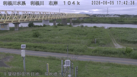 tonme2026060518_image