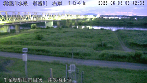 tonme2026060604_image