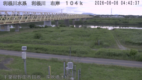 tonme2026060605_image