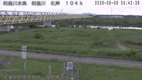 tonme2026060606_image