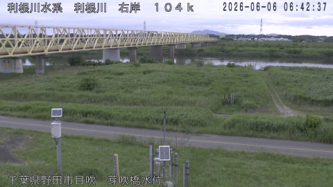 tonme2026060607_image