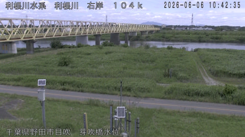 tonme2026060611_image