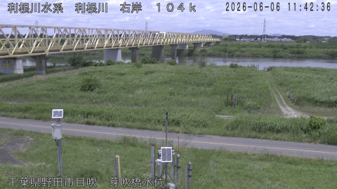 tonme2026060612_image