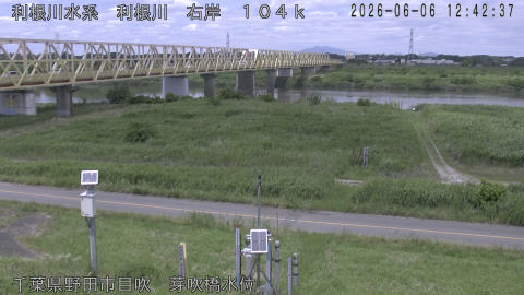 tonme2026060613_image