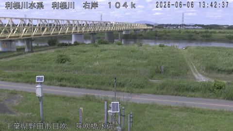 tonme2026060614_image