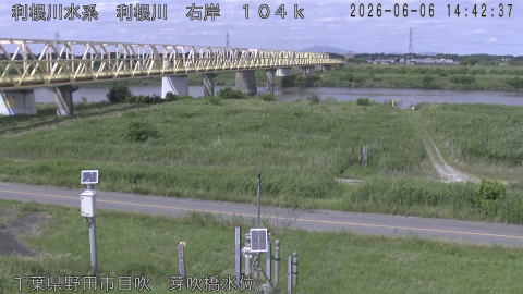 tonme2026060615_image