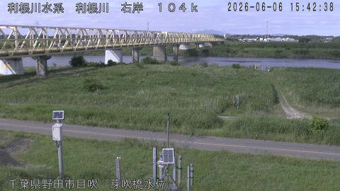 tonme2026060616_image