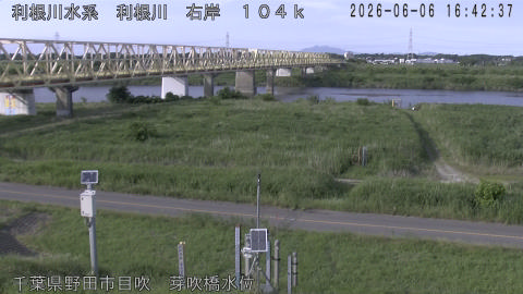 tonme2026060617_image