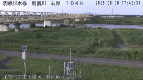 tonme2026060618_image