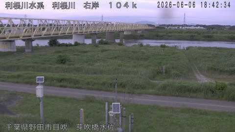 tonme2026060619_image