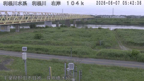 tonme2026060706_image