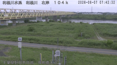 tonme2026060708_image