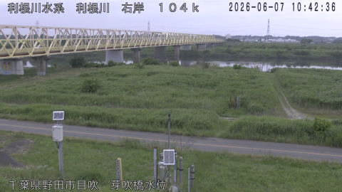 tonme2026060711_image