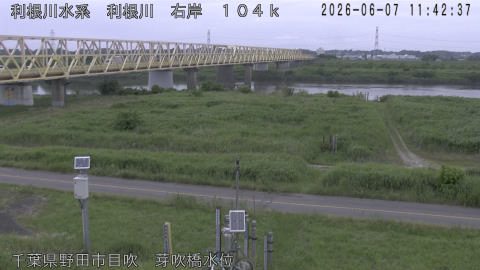 tonme2026060712_image