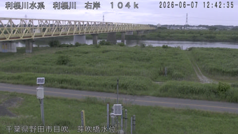 tonme2026060713_image