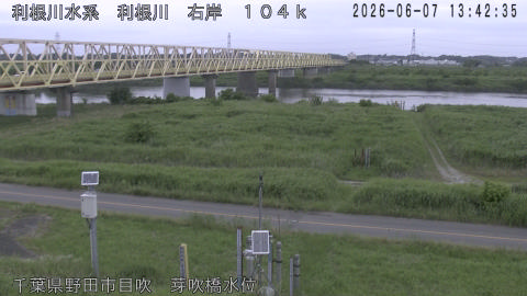 tonme2026060714_image