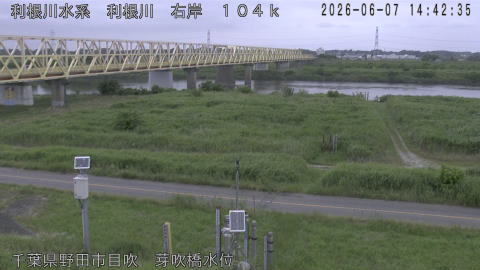 tonme2026060715_image