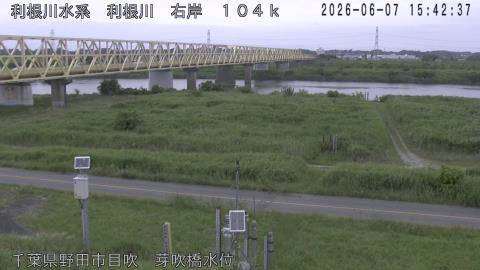 tonme2026060716_image