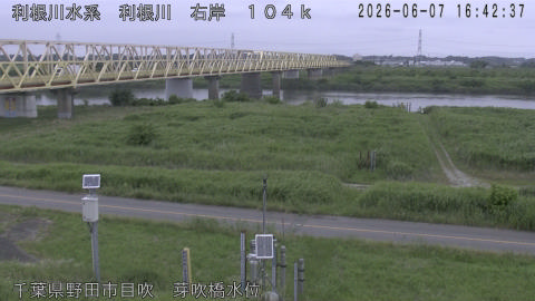 tonme2026060717_image