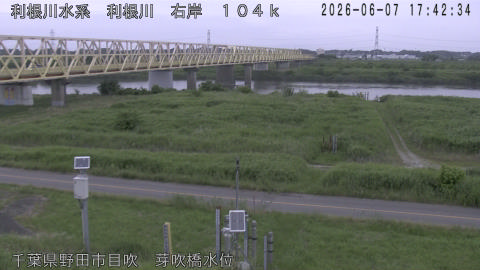 tonme2026060718_image
