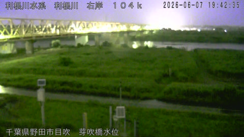 tonme2026060720_image