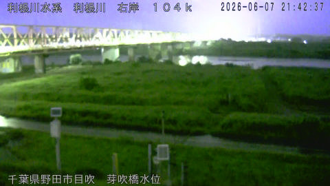 tonme2026060722_image