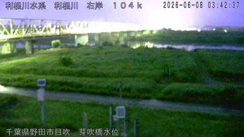 tonme2026060804_image