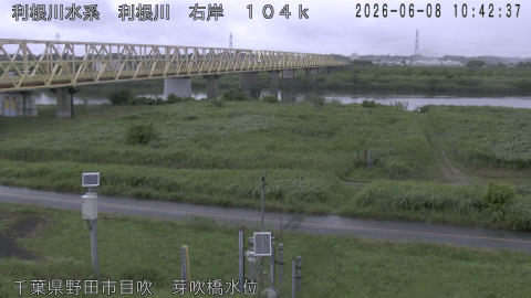 tonme2026060811_image