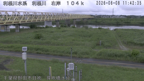 tonme2026060812_image
