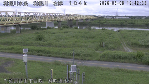 tonme2026060813_image
