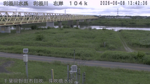 tonme2026060814_image