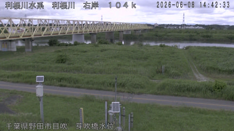 tonme2026060815_image
