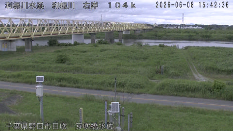 tonme2026060816_image
