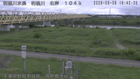 tonme2026060817_image