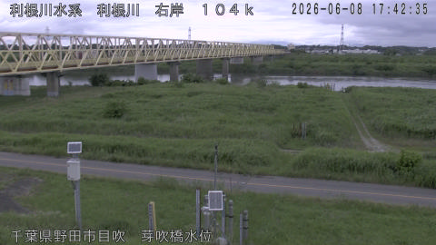 tonme2026060818_image