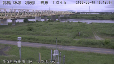 tonme2026060819_image