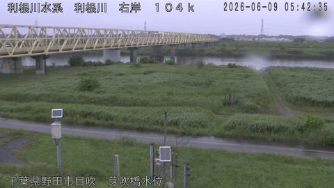 tonme2026060906_image