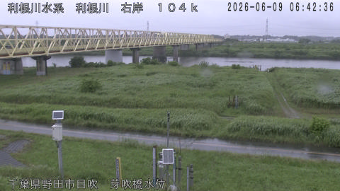 tonme2026060907_image