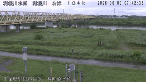 tonme2026060908_image