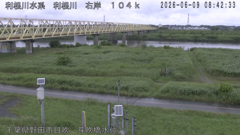 tonme2026060909_image