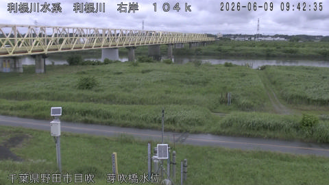 tonme2026060910_image