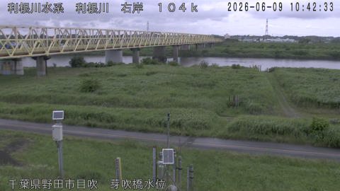 tonme2026060911_image