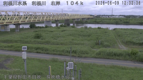 tonme2026060913_image
